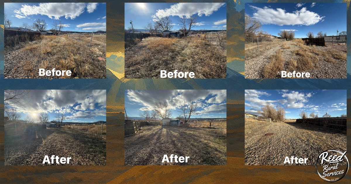 Overgrown lot cut down and cleared by Reed Rural Services